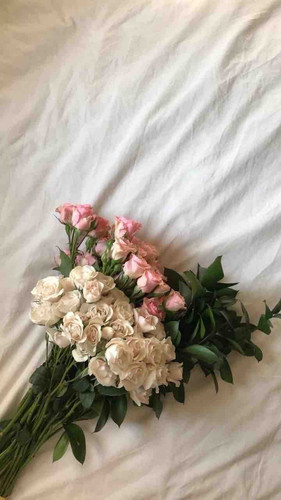 2A0BC87A F665 426F 9F96 B961B424A27E.jpg