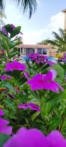 IMG 20230702 081008.jpg