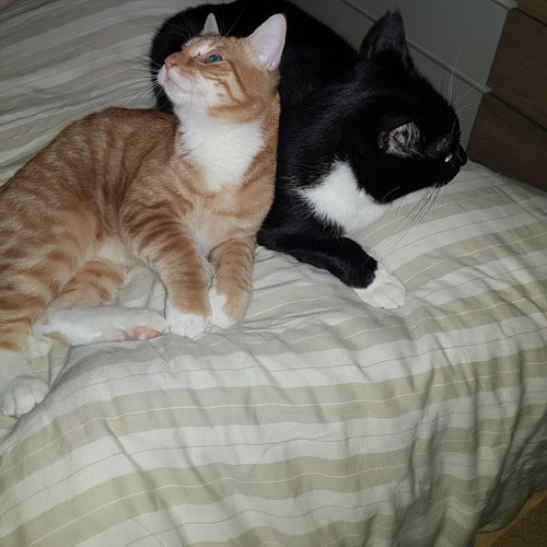 2021 11 24 06.48.58.jpg