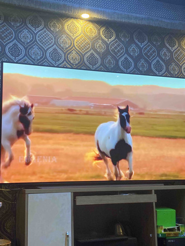 42DB3974 3F77 48A0 BADE 144824A048EF.jpg