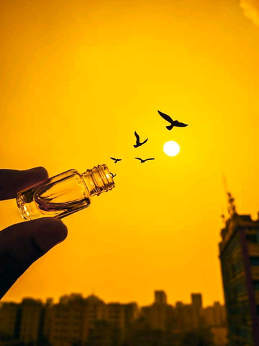 FB IMG 16795933203174763.jpg