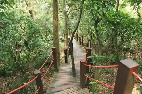 20080621 067 調整大小.webp