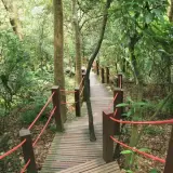 20080621 067 調整大小