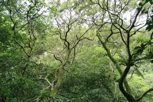 20080621 087 調整大小.webp