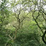 20080621 087 調整大小