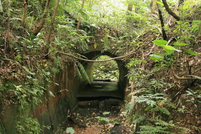 富陽自然生態公園軍事坑道也是秘境之一