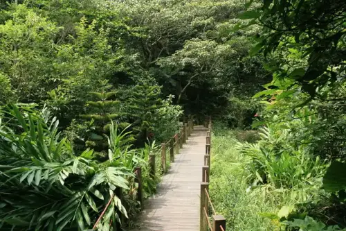 20080621 025 調整大小.webp