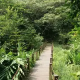 20080621 025 調整大小