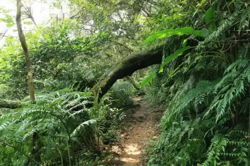 20080621 062 調整大小.webp