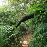 20080621 062 調整大小