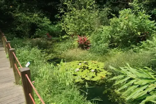 20080621 026 調整大小.webp