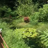 20080621 026 調整大小