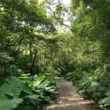 20080621 017 調整大小