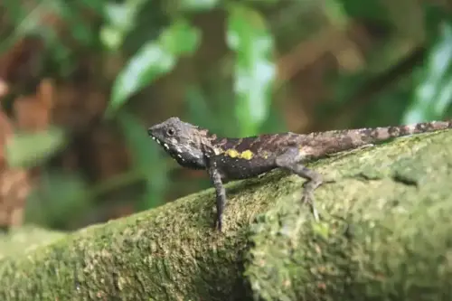 20080621 090 調整大小.webp