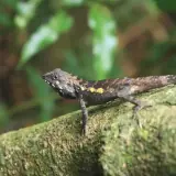 20080621 090 調整大小