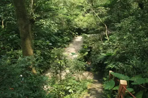 20080621 092 調整大小.webp