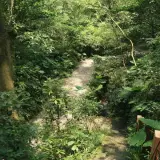 20080621 092 調整大小