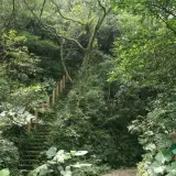 20080621 018 調整大小