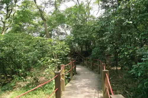 20080621 065 調整大小.webp