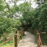 20080621 065 調整大小