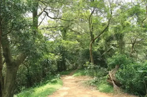 20080621 077 調整大小.webp