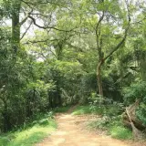 20080621 077 調整大小