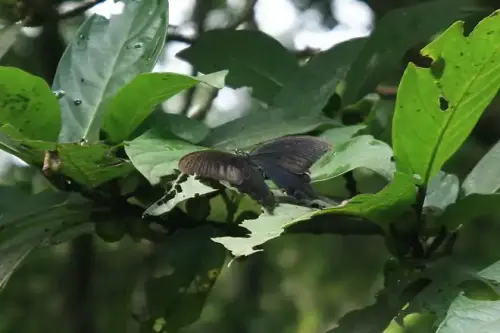 20080621 034 調整大小.webp