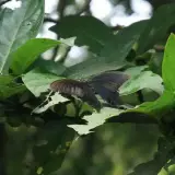 20080621 034 調整大小