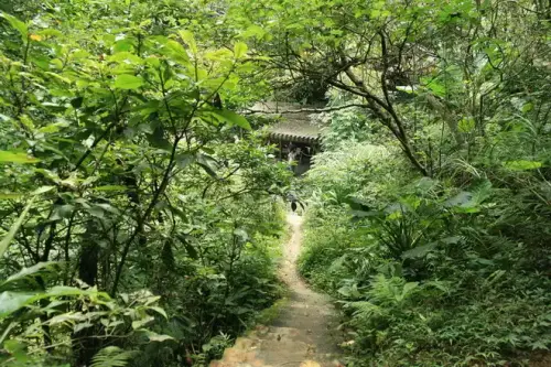 20080621 093 調整大小.webp