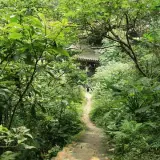 20080621 093 調整大小