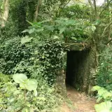 20080621 061 調整大小