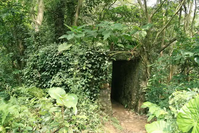富陽自然生態公園舊軍事碉堡也很有秘境探險的感覺