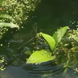 20080621 039 調整大小