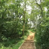 20080621 105 調整大小