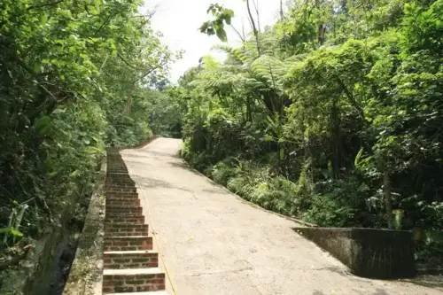 20080621 211 調整大小.webp