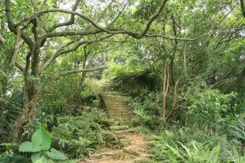 20080621 202 調整大小.webp