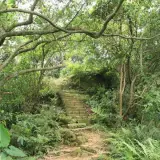 20080621 202 調整大小