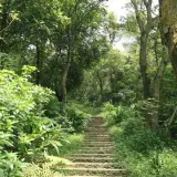 20080621 115 調整大小