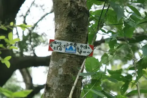 20080621 175 調整大小