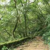 20080621 094 調整大小