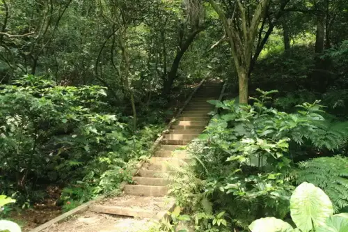 20080621 100 調整大小.webp