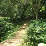 20080621 100 調整大小