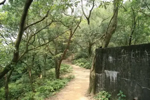 20080621 216 調整大小.webp