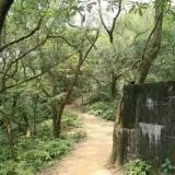 20080621 216 調整大小