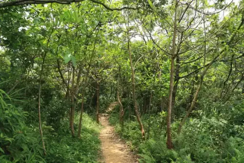 20080621 198 調整大小.webp