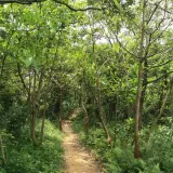 20080621 198 調整大小