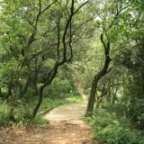 20080621 199 調整大小