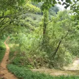 20080621 206 調整大小