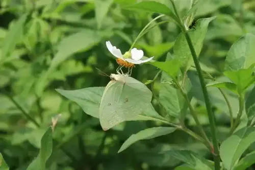 20080621 183 調整大小