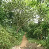 20080621 176 調整大小